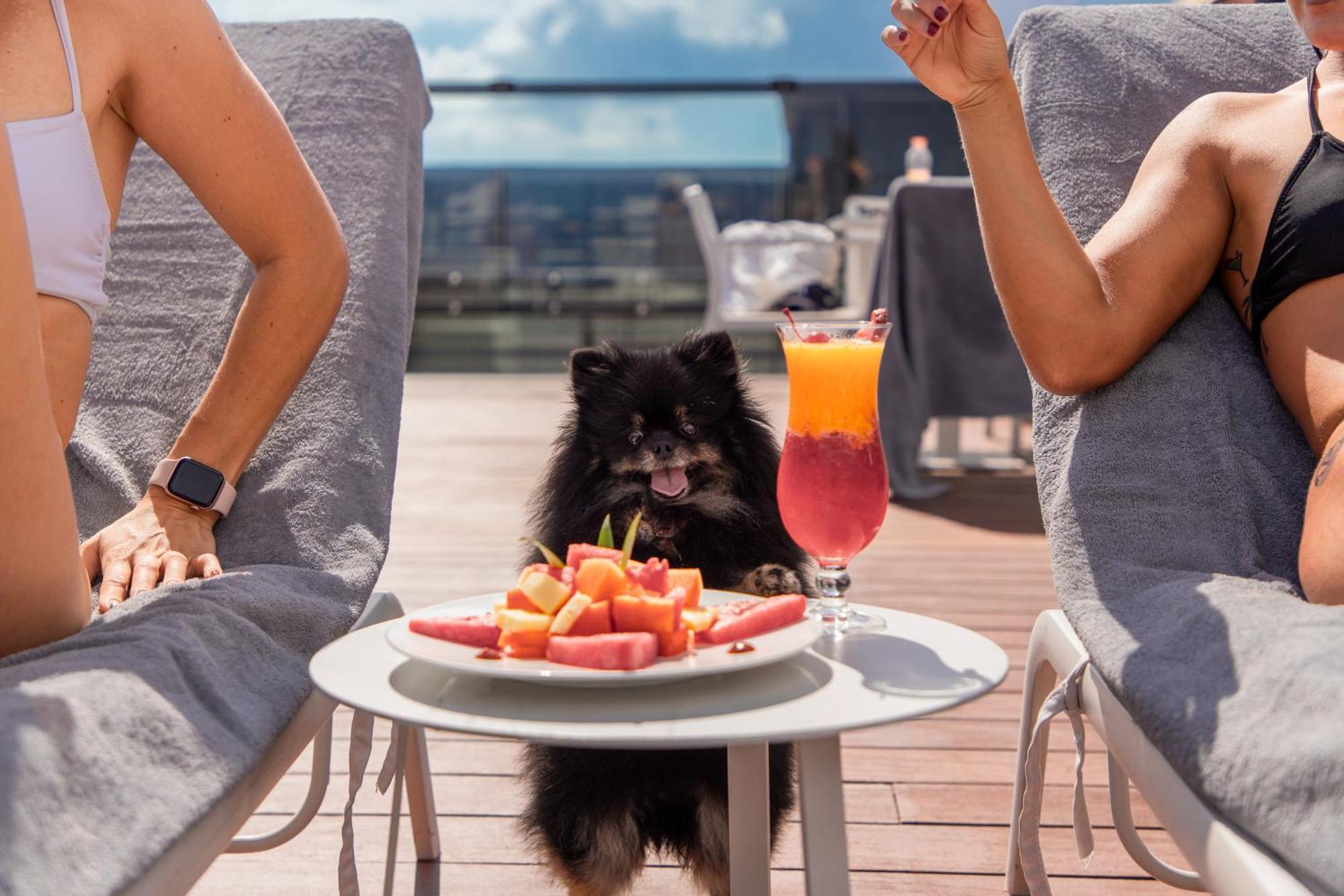 Serenity Hotel Boutique By Alsol Πλάγια Ντελ Κάρμεν Εξωτερικό φωτογραφία